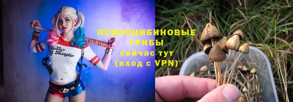 твердый Володарск