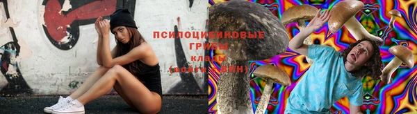 гашик Волосово