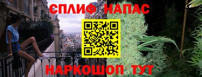 apvp Новозыбков