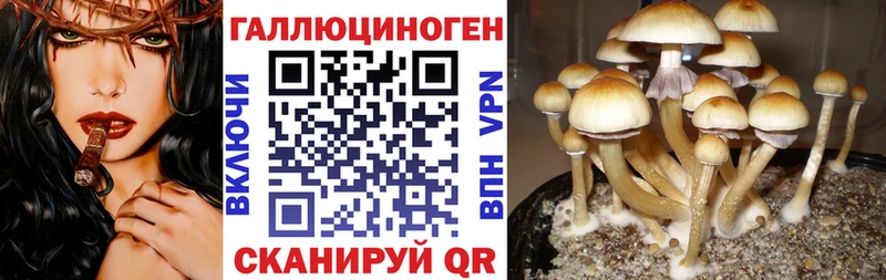 Галлюциногенные грибы Cubensis  наркота  Славянск-на-Кубани 